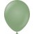 Luftballons einfarbig - Premium 30 cm - Eukalyptus - 10er-Pack