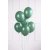 Pastellballons - Premium 27 cm - Flaschengrn - 10er-Pack