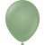 Luftballons einfarbig - Premium 45 cm - Eukalyptus - 5er-Pack