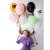 Ballonmischung - Hocus Pocus Mischung - 6er-Pack